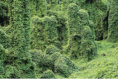 《铁拳8》S1赛季宣传片 免费更新详情一览